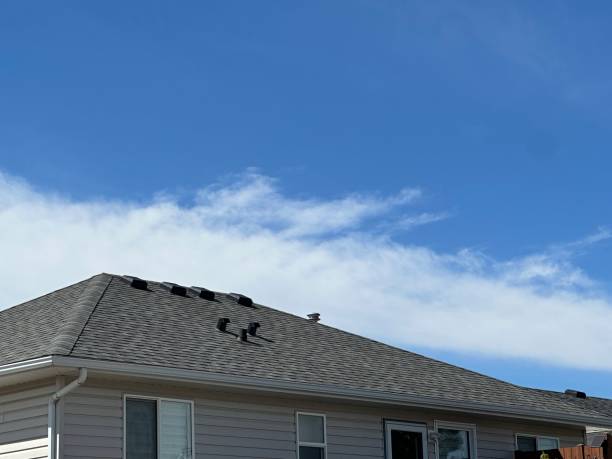 Best Metal Roofing Installation  in Winchester, IL